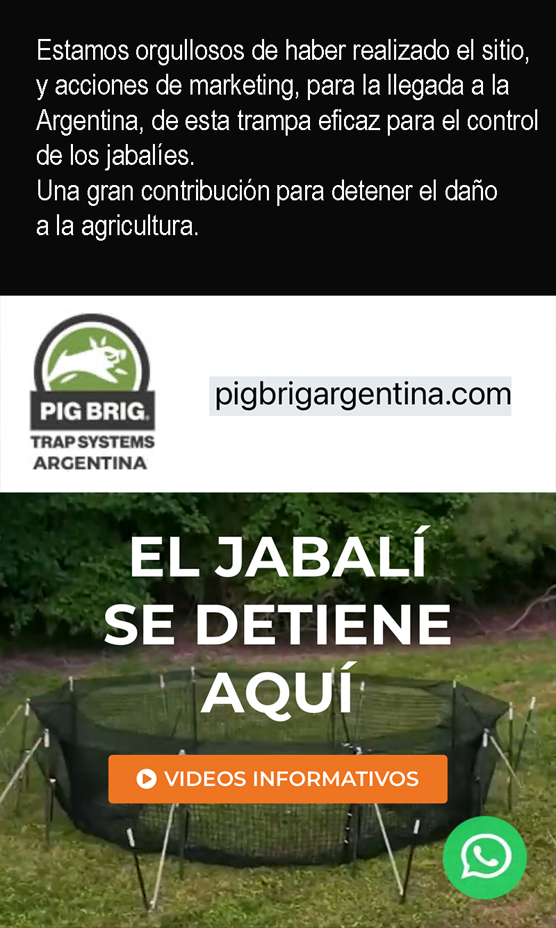 noticia